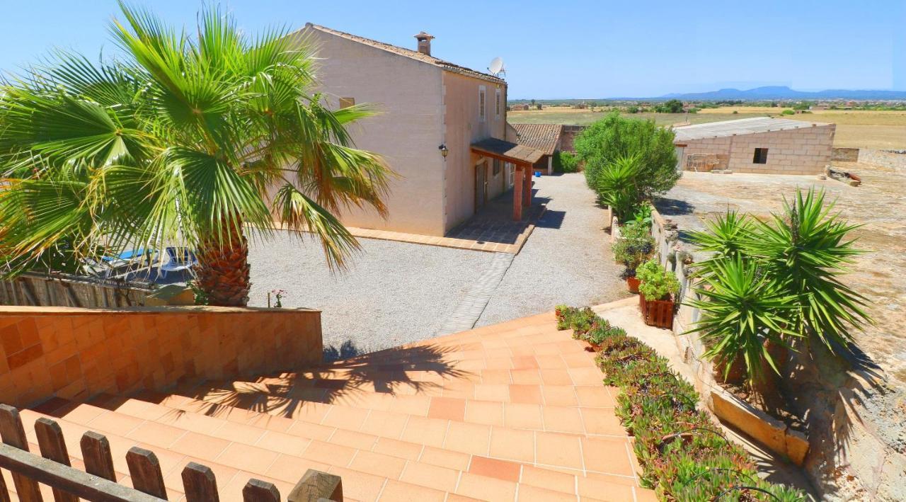 Villa Alcoraia Campos  Exterior foto